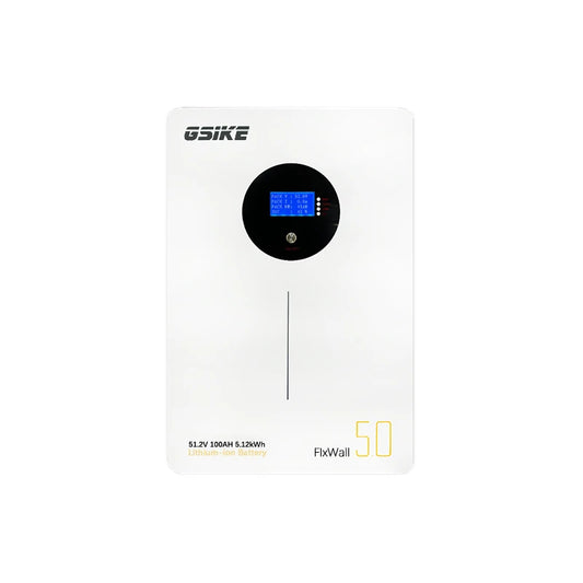 GSIKE 51.2.V 100AH LiFePO4 Battery with BMS